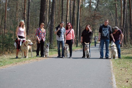 Procházky u Máchova jezera