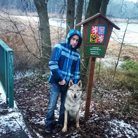 Novoroční procházky