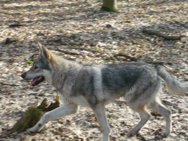 Ultrix II Od Úhoště